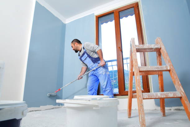 Reliable Caryville, TN Mold Removal Solutions