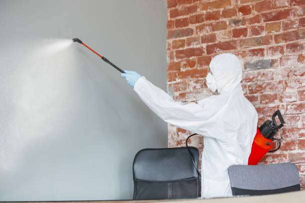 Best Mold Remediation for Healthcare Facilities  in Caryville, TN