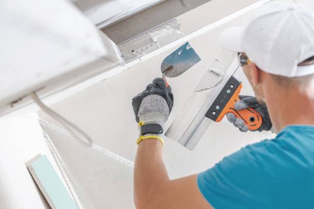 Best Mold Remediation for Rental Properties  in Caryville, TN